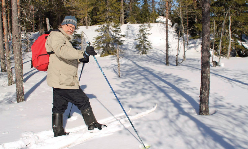 Markku Aho hiihtämässä metsässä